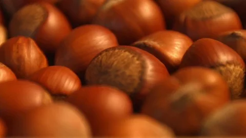 Hazelnuts. Vertical pan. Close-up. Stock Footage 69879243