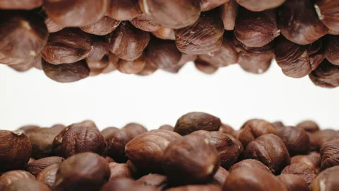 Hazelnuts on white background mirrored slide shot. Place for title, text or logo Vídeo Stock 226602132