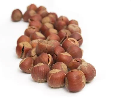 Hazelnuts on a white background Stock Photos