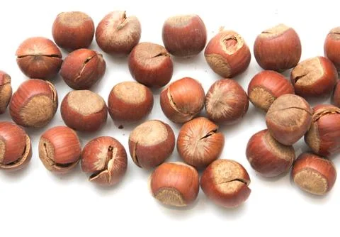 Hazelnuts on a white background Stock Photos