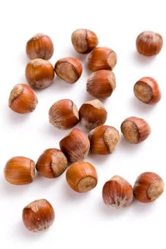 Hazelnuts on white background Stock Photos