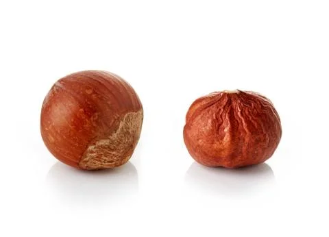 Hazelnuts on white background Stock Photos