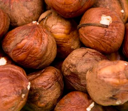 Hazelnuts on a White Background Stock Photos