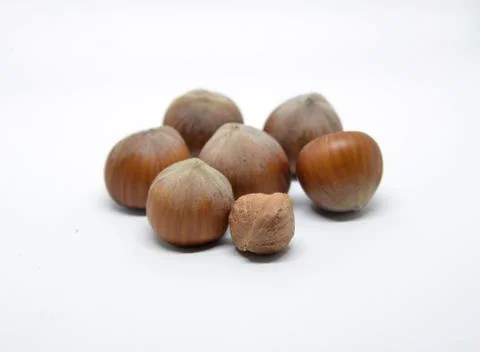Hazelnuts on a white background Foto stock