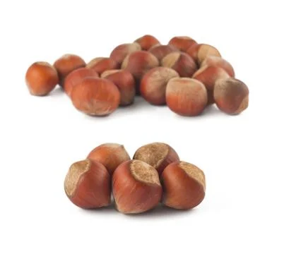 Hazelnuts on white background Stock Photos