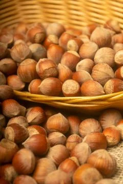 Hazelnuts in a wicker basket and hazelnuts scattered on a background of coars Stock Photos