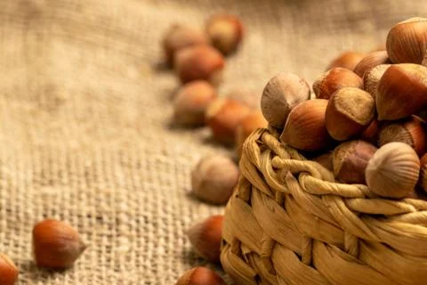 Hazelnuts in a wicker basket and hazelnuts scattered on a background of homes Stock Photos