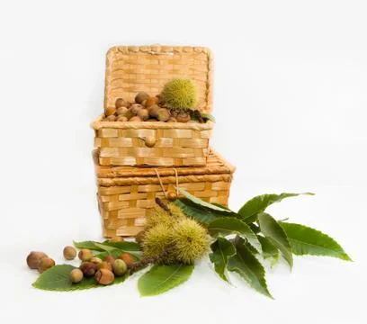 Hazelnuts in a wicker basket Stock Photos