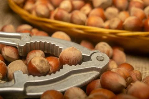 Hazelnuts in a wicker basket, a scattering of hazelnuts and a Nutcracker on t Stock Photos