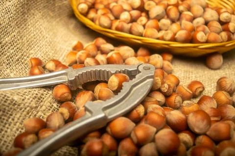 Hazelnuts in a wicker basket, a scattering of hazelnuts and a Nutcracker on t Stock Photos