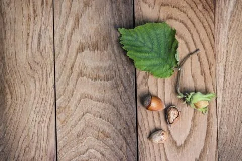 Hazelnuts on the wooden table Foto stock