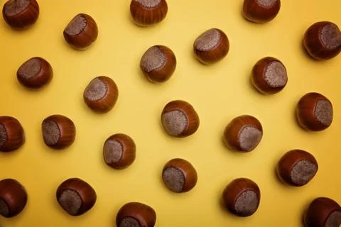 Hazelnuts on a yellow background. Stock Photos