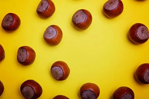 Hazelnuts on a yellow background. Stock Photos