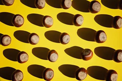 Hazelnuts on a yellow background. Фото