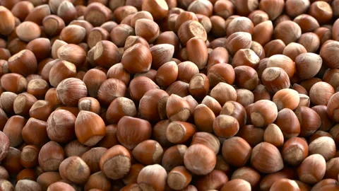 Hazelnuts zoom out. Hazelnut composition and backgorund. Turkish hazelnuts Stock Footage 132754342