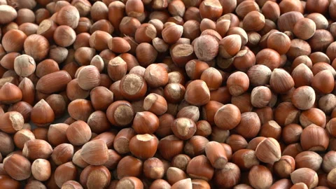 Hazelnuts zoom out. Hazelnut composition and backgorund. Turkish hazelnuts Stock Footage 132754427