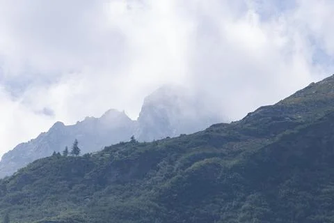 Hazy Alpine Ridge with Pine Trees in Thick Fog Stock Photos