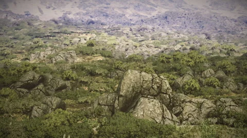 Hazy earthy tones over weathered stone surfaces and mossy patches Stock Footage 335594982