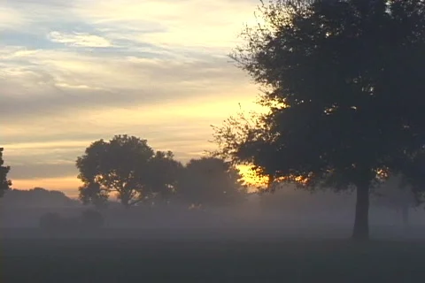 Hazy Evening Video stock 817951