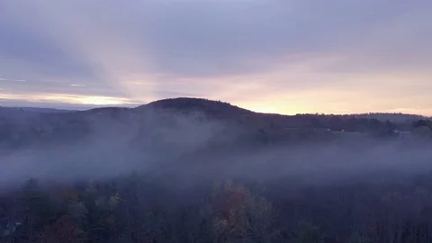 Hazy Foliage Sunset Stock Footage 82627373