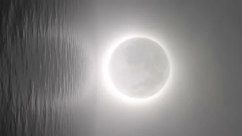 Moon Isolated Png Loop Animation Stock Footage Video (100% Royalty-free)  1030728752
