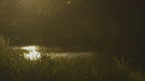 Hazy river Stockbeeldmateriaal 37270800