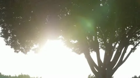 Hazy sunset Stock-Footage 10921749