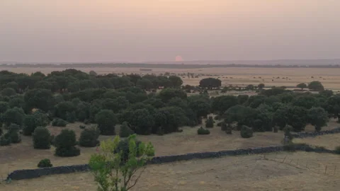 Hazy sunset over dry Spanish dehesa during severe heatwave in Salamanca Stock Footage 341886349