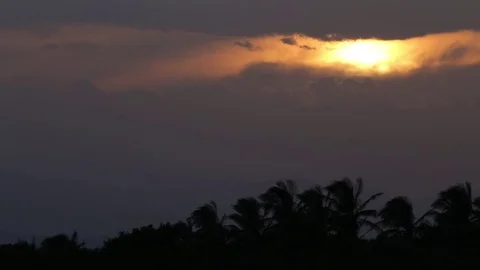 Hazy sunset with palm trees. Stock Footage 71105119