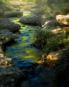 Hazy Texas Stream Stock Photos