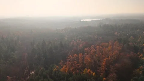 Hazy Trees Over Tranquil Lake, Veiled Forest Cover With Distant Lake Beneath Stock Footage 328050801
