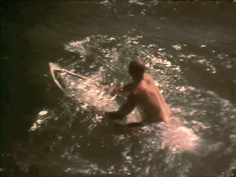 HB14 Stock Footage 1183273