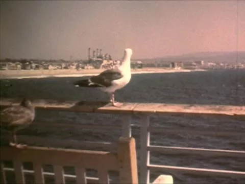 HB18 Stock Footage 1183283