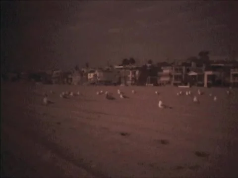 HB5 Stock Footage 1183251