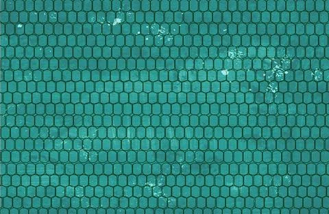 Hcome blue Stock Illustration