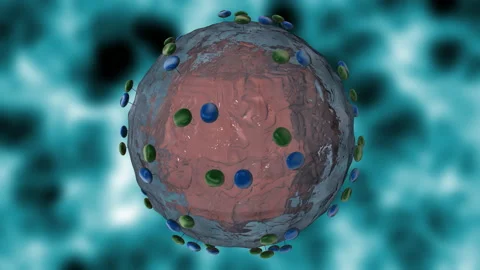 HCV - Hepatitis C virus rotating. Alpha channel, seamless looping. 動画素材 87545155