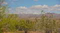 HD 1080 p Northern AZ snow capped mountains and clouds timelapse HD Footage
