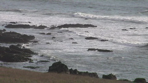 HD 1080 - Pacific Ocean Waves and Rocky Shore Video stock 590860