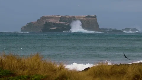 HD 1080PBig waves hitting St. Lawrence Rocks near Portland, Australia. Stock Footage 92292612