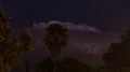HD 24p large thunderhead flashes behind palm tree wide time lapse Video HD