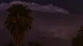 HD 24p large thunderhead flashes behind palm tree tight time lapse Video HD