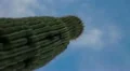 HD 30p Vert Looking up a Saguaro at the blue sky with misty clouds time lapse Video HD