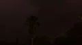 HD 30p wide - Palm tree surrounded by extreme lightning time lapse HD 동영상
