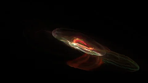 HD Abstract fractal forms morph and oscillate (Loop) Stock Footage 101234028