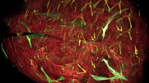 HD Abstract fractal forms morph and oscillate (Loop) Vídeos de archivo 101286227