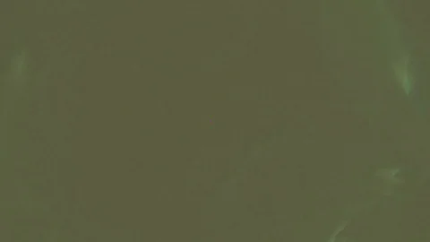 HD Abstract fractal forms morph and oscillate (Loop) Vídeos de archivo 101411364