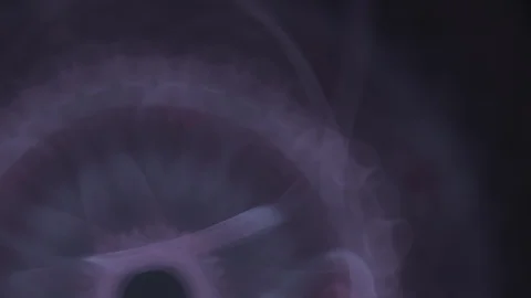 HD Abstract fractal forms morph and oscillate (Loop) Stock Footage 101521040