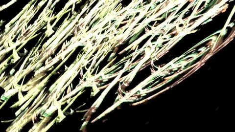 HD Abstract fractal forms morph and oscillate (Loop) 스톡 동영상 101545036