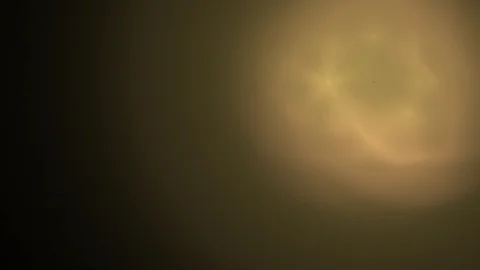 HD Abstract fractal forms morph and oscillate (Loop) Stock Footage 101549301