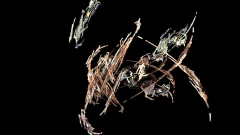 HD Abstract fractal forms morph and oscillate (Loop) Vidéo 101679475